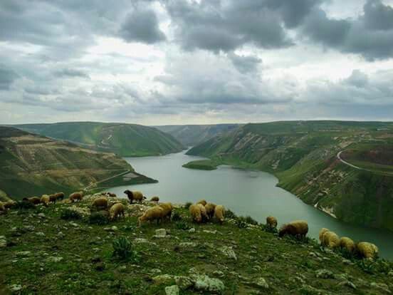 Yarmouk valley in Daraa governorate