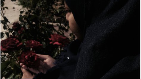 Hanan caught a rose