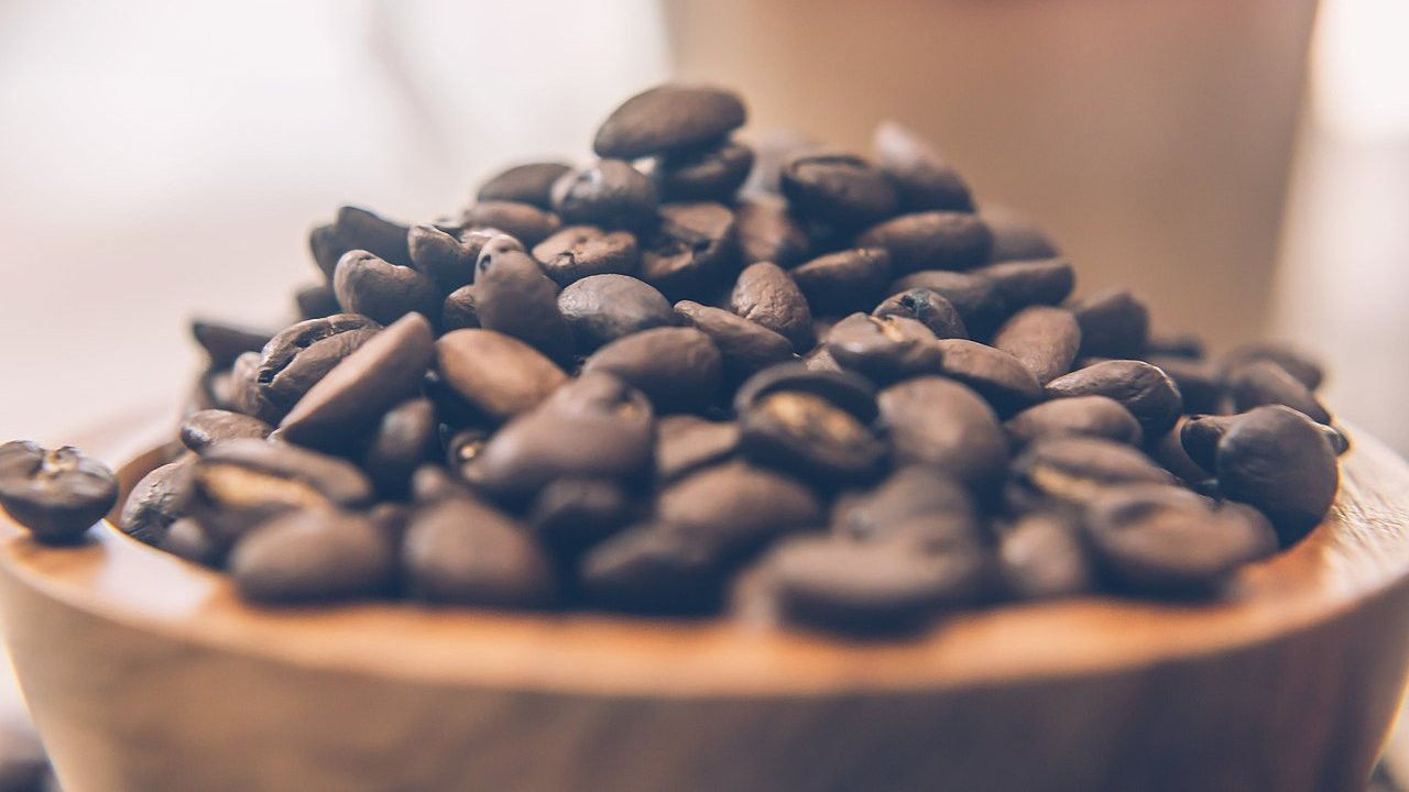 How did coffee spread around the world? And how can a cup of coffee change the world for the better?